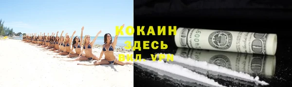 гидра Абаза