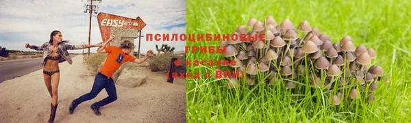 mdpv Абдулино