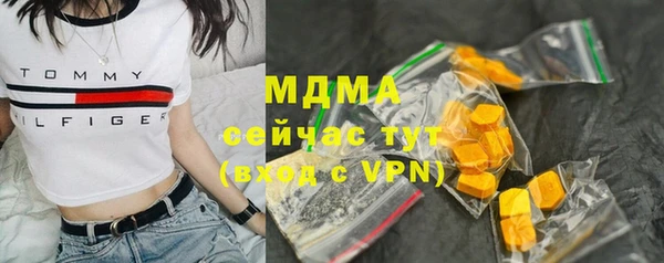 гидра Абаза